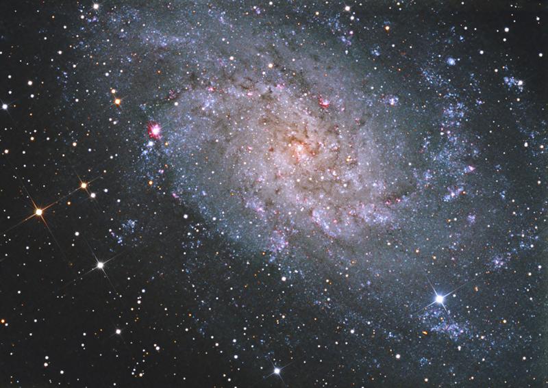 M33