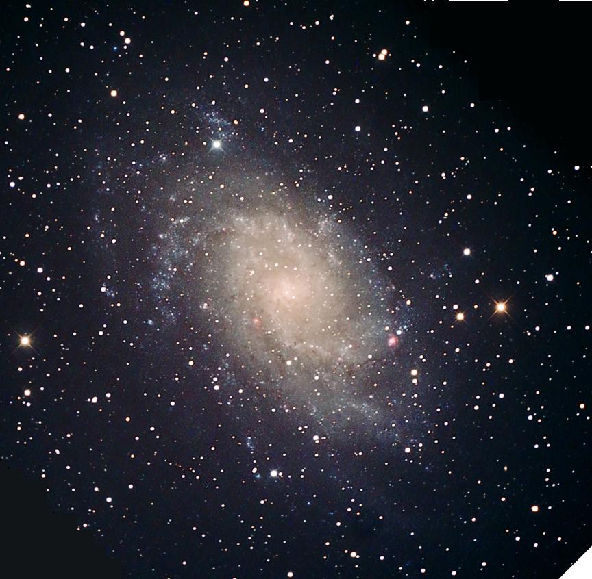 M33