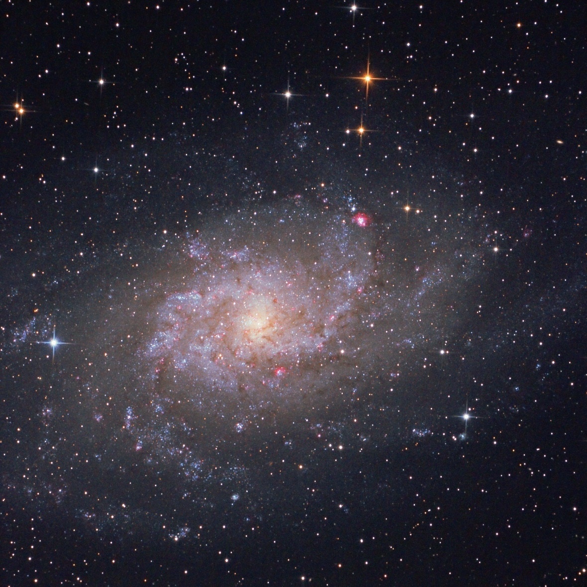 M33
