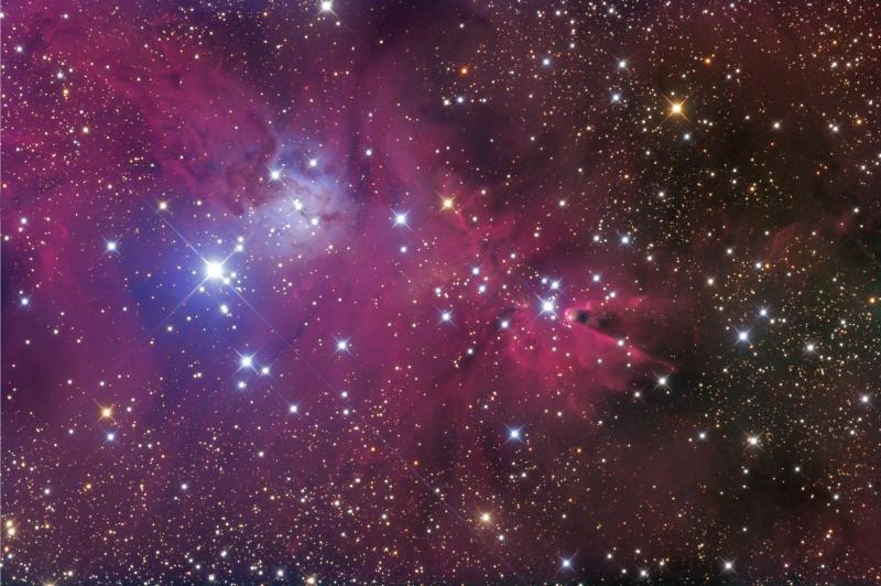 Cone / Fox Fur Nebula NGC 2264