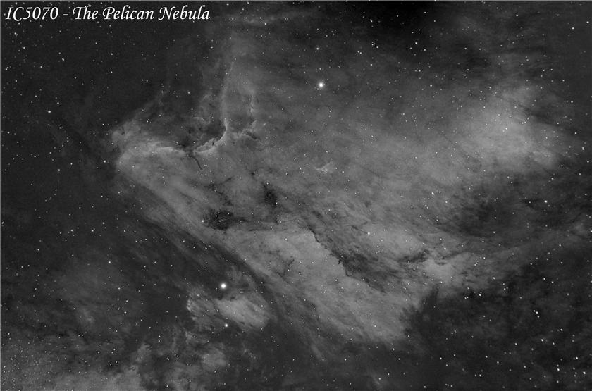 PELICAN IN H-ALPHA