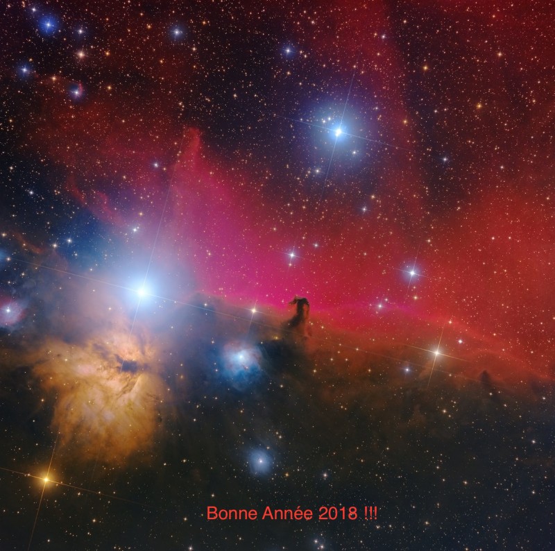 Horsehead in its splendor !