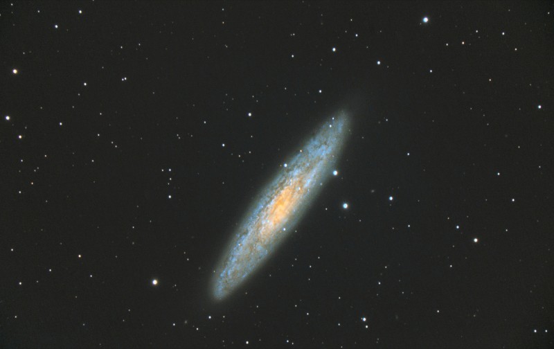 NGC 253 Sculptor Galaxy