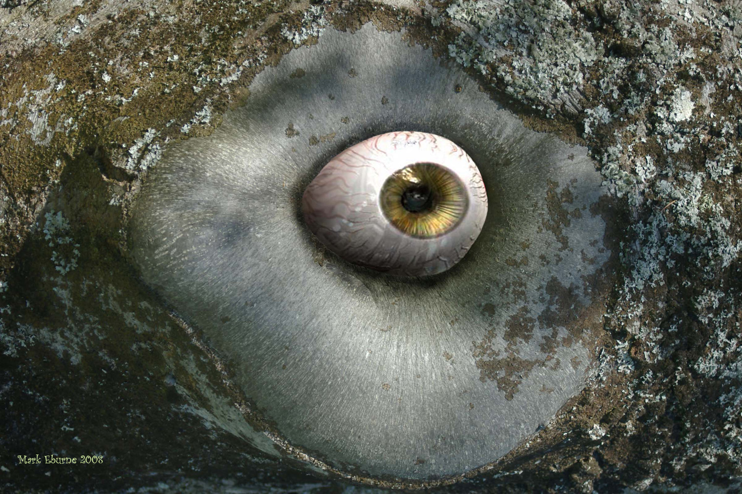 Treeeye