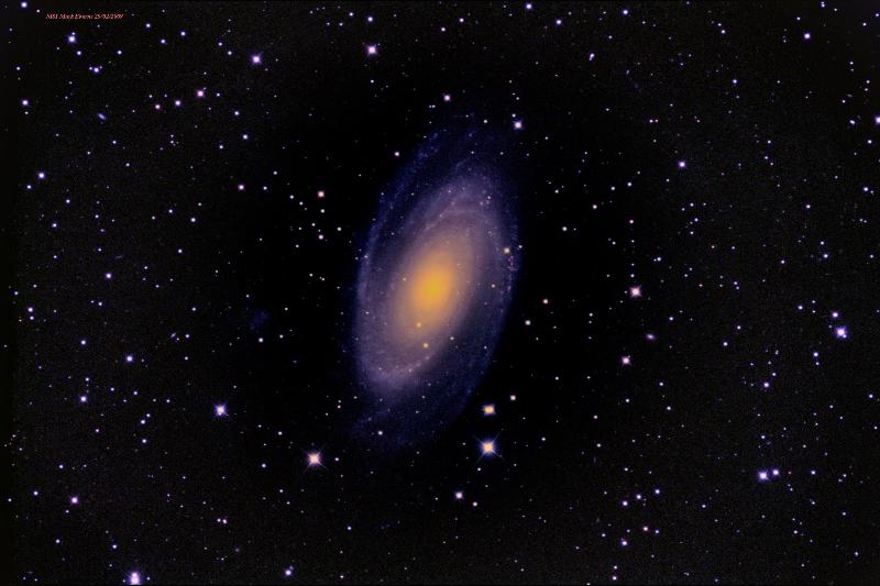 M81