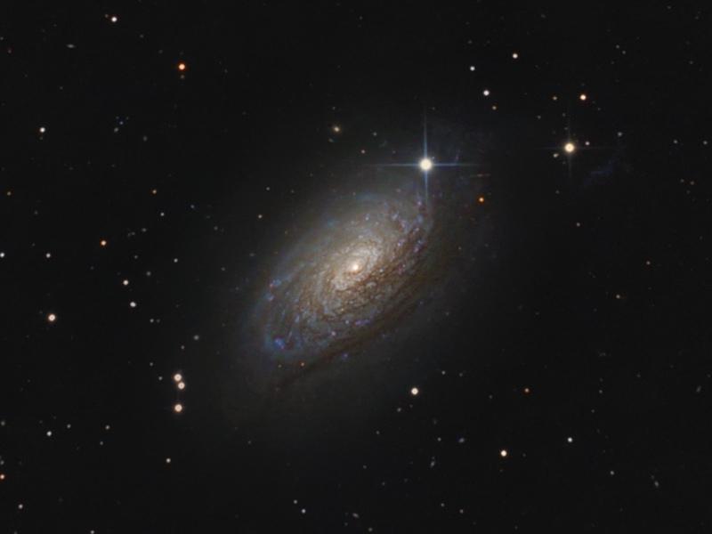 M63