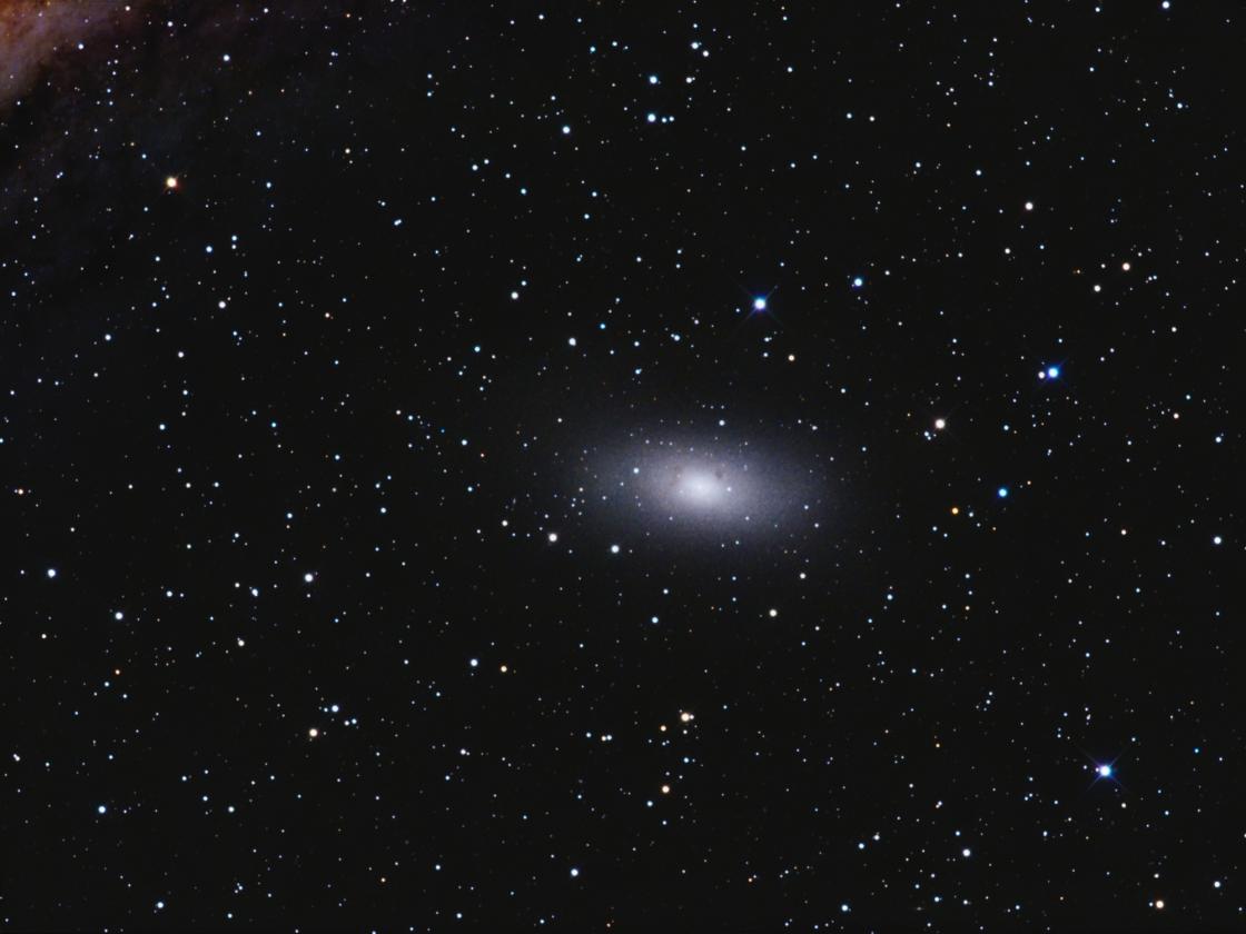 Dwarf Galaxy M110 (NGC205)
