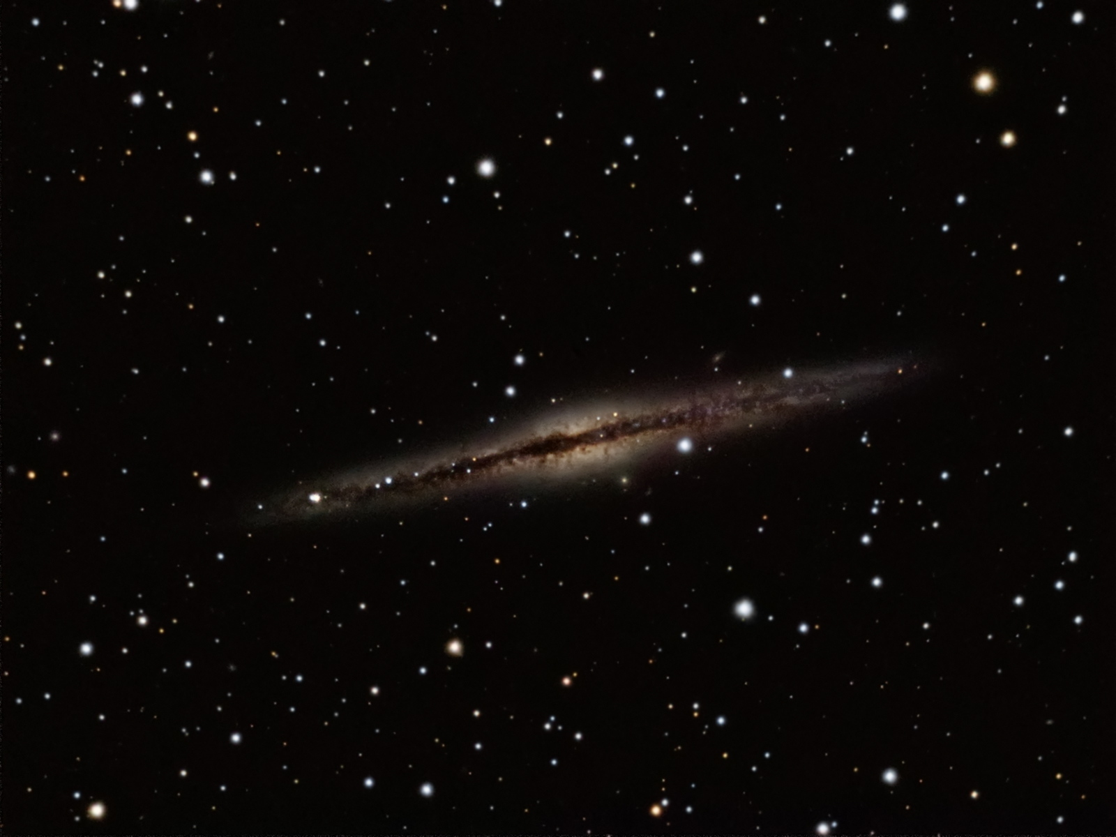 NGC 891 image