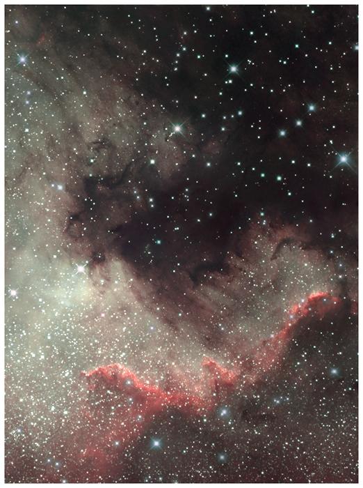 Part of NGC7000