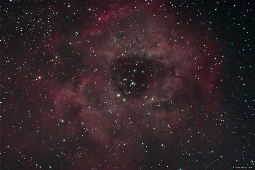 The Rosette Nebula