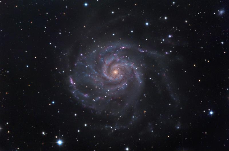 M-101