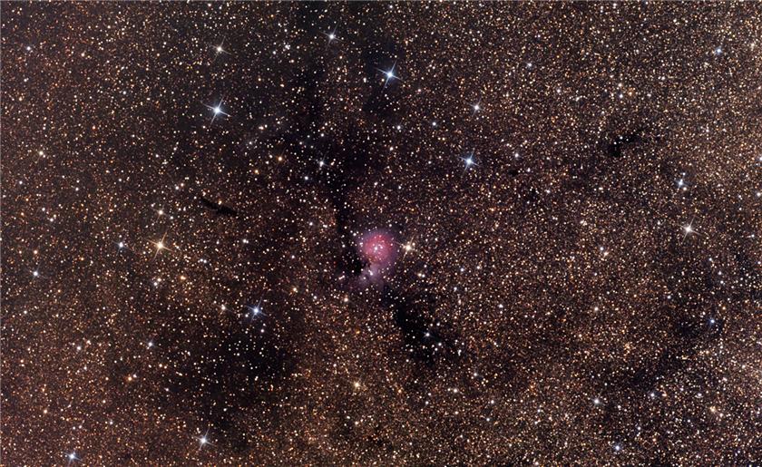 Crop.Sharpless (sh2) 82 The Little Cocoon, Cedarbl
