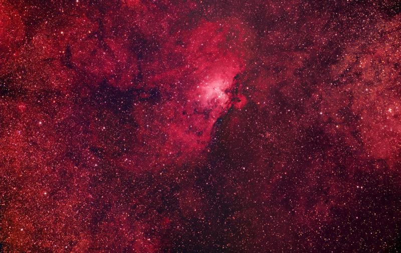 M16 Widefield