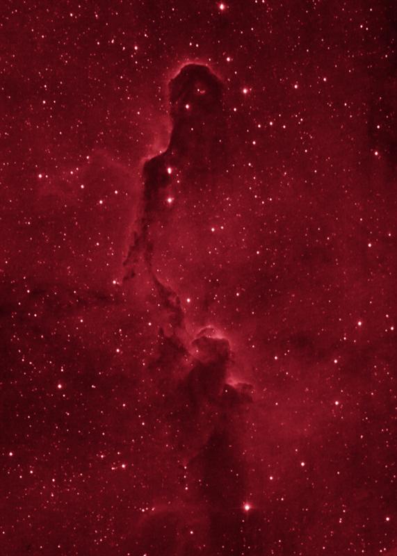 IC 1396 - Elephant Trunk Nebula