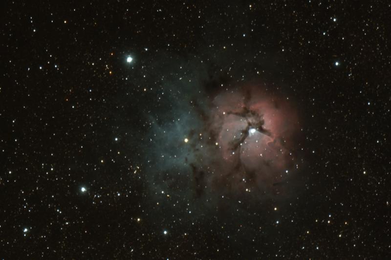 Trifid