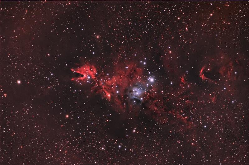 cone and fox nebulas