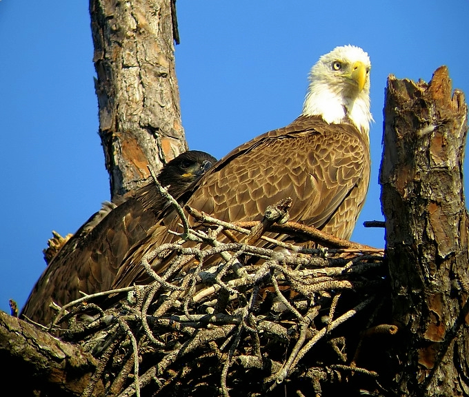 Sitting with Mom