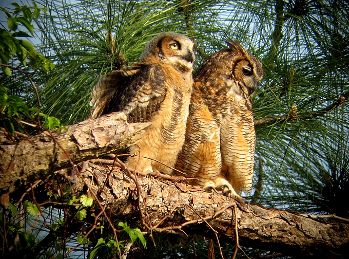 Sitting with mom