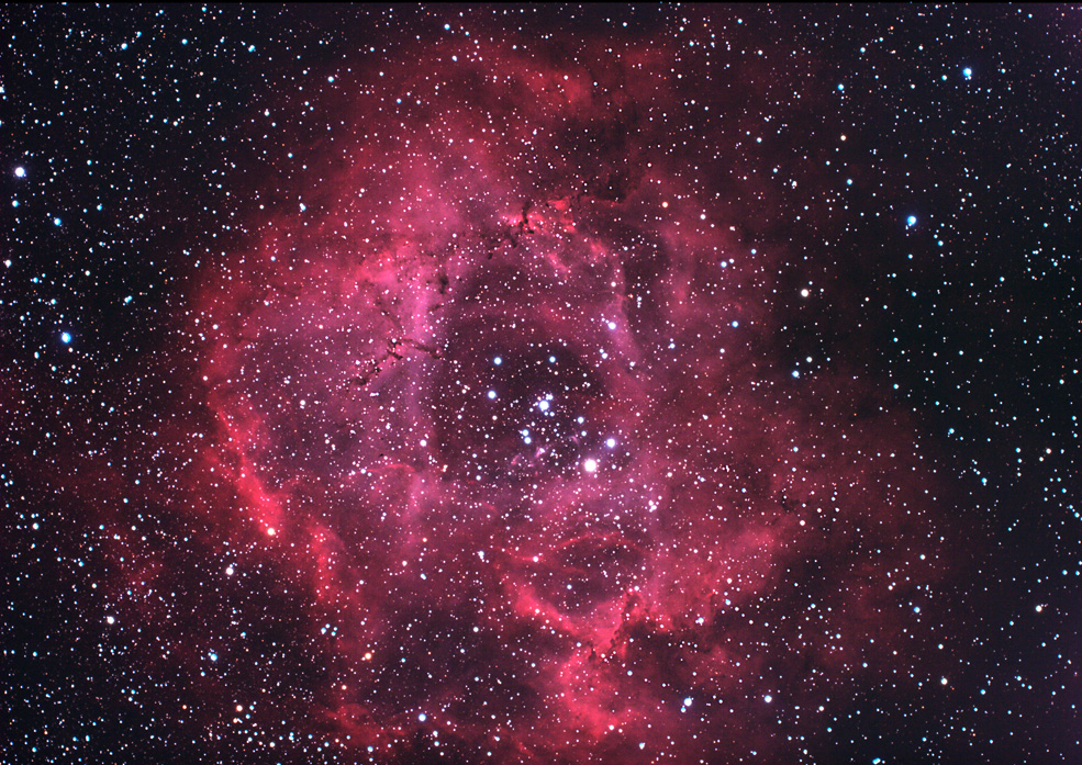 Rosette