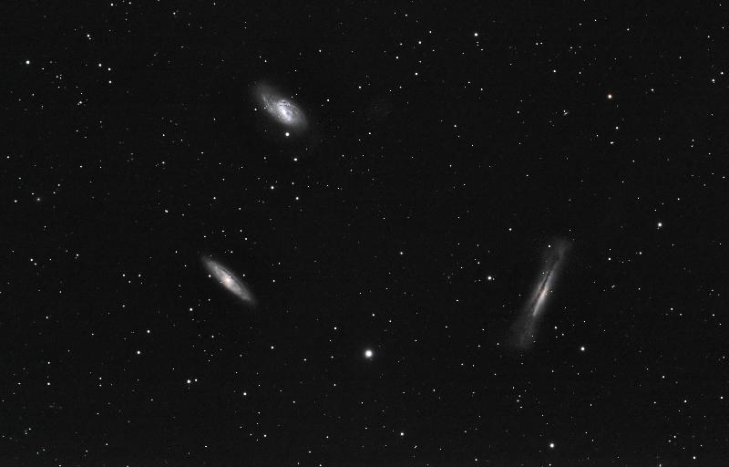 Leo Triplet image