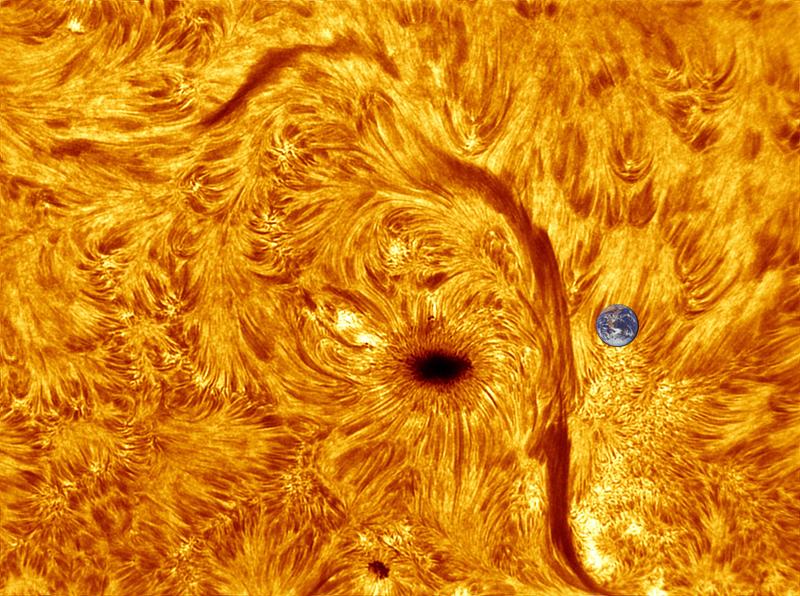 Sunspots really are big!