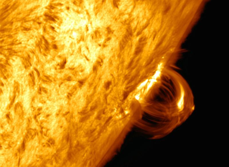 Loop Prominence