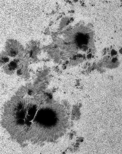Giant sunspot group AR2192