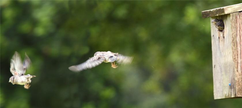 FIRST FLIGHT!