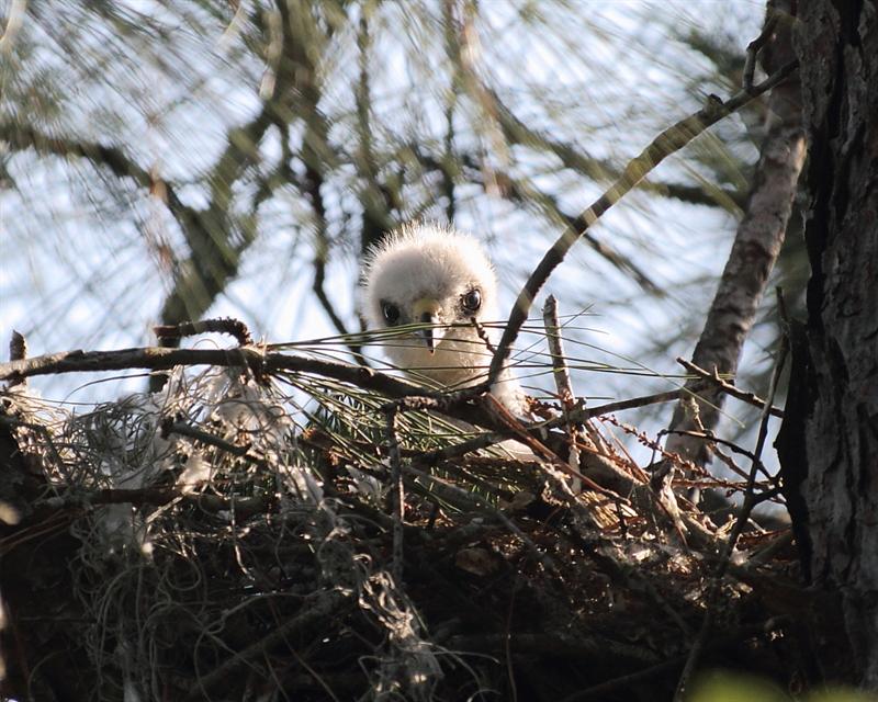 What are You looking at?