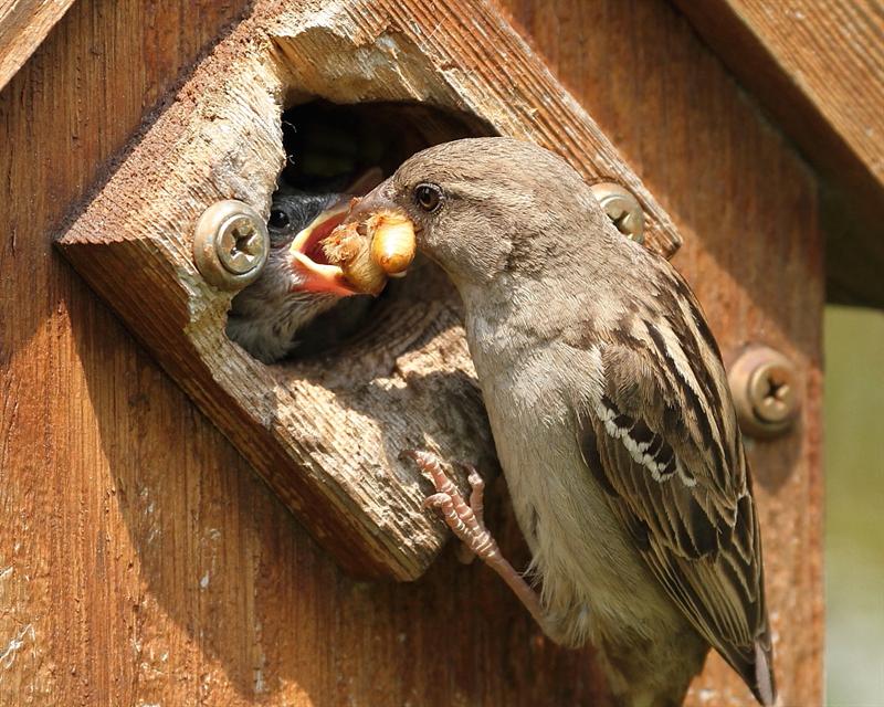 Lunch is here!