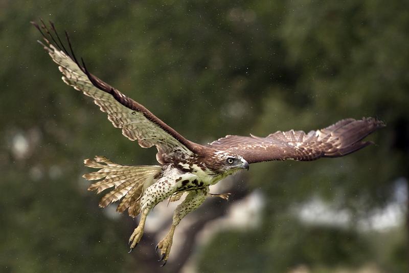 The Fledgling's first storm...