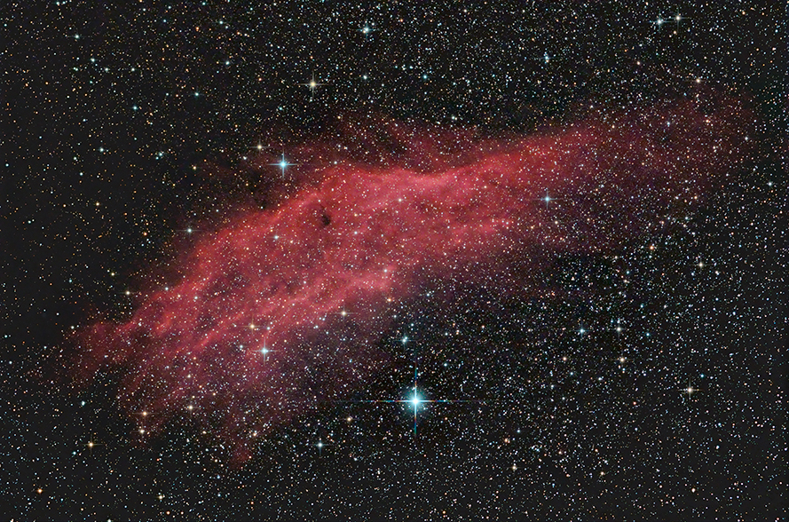 A Gator in Perseus