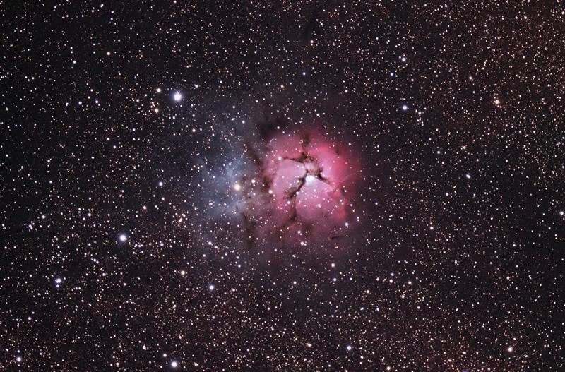 Trifid