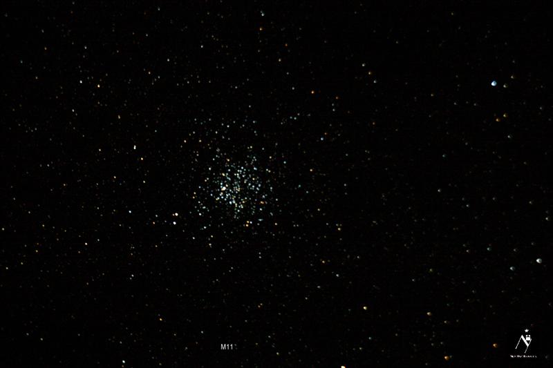 M11
