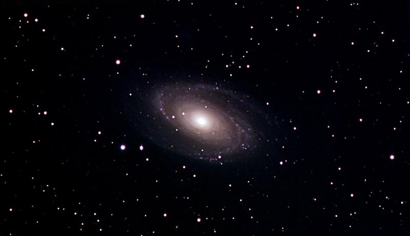 M81