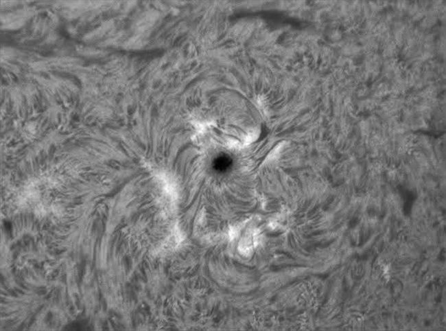 Sunspot
