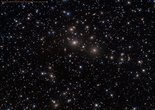 NGC1275 and friends