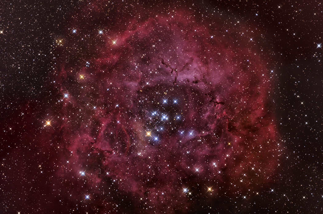 Rosette nebula