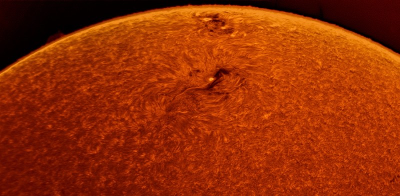 Sunspots AR2824 & AR2826 near the limb