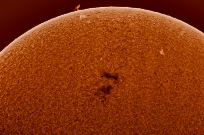 AR 2773 from Lake Ahern Observatory