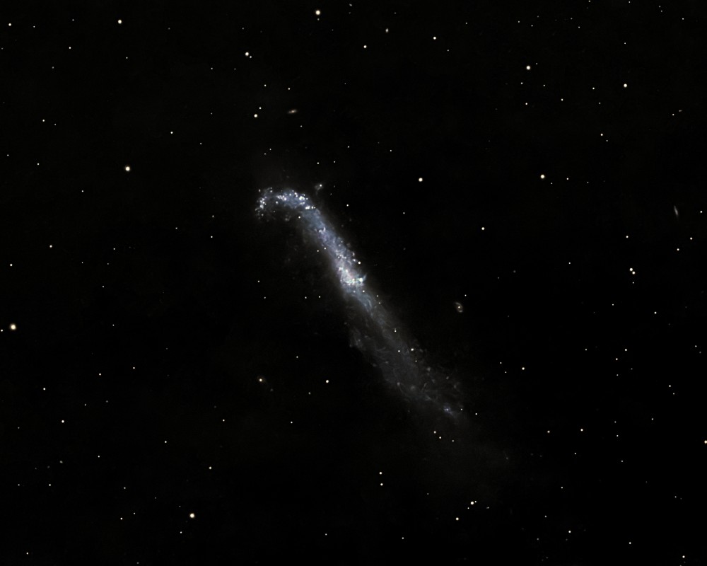 NGC 4656 Hockey Stick Galaxy image