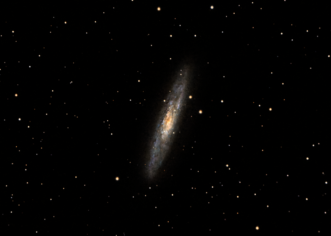 NGC 253 Sculptor Galaxy image