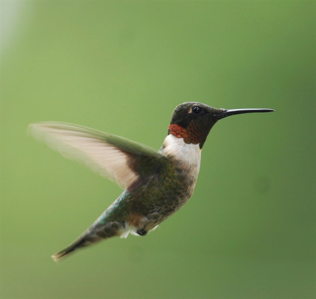 Look Ma, I can Fly!