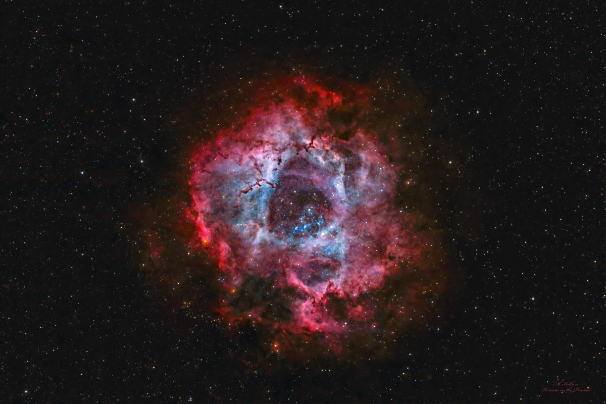 Rosette Nebula image