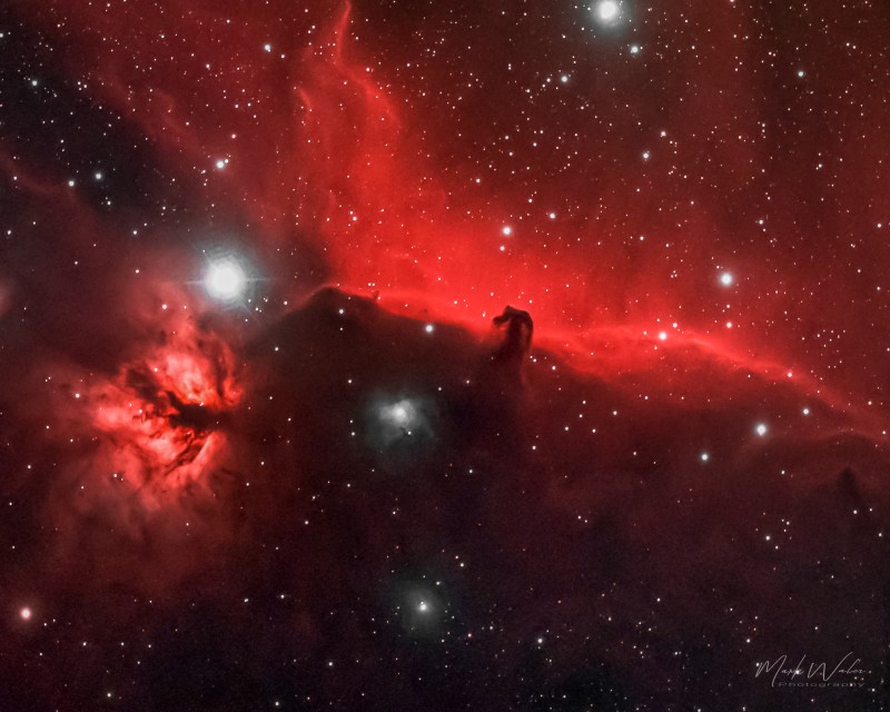 Horsehead &amp; Flame Nebulas