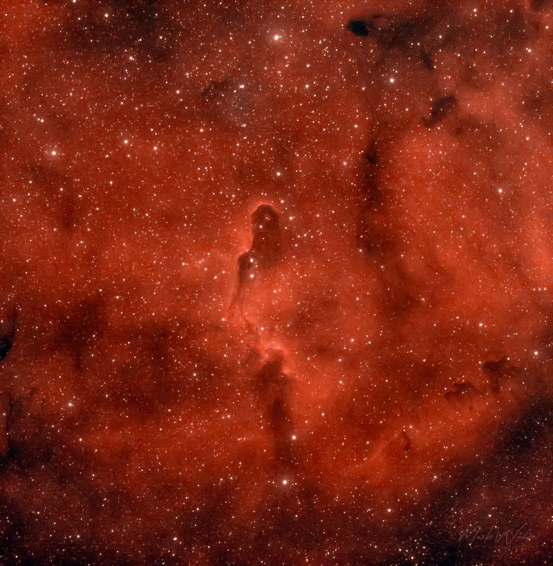 Elephant Trunk Nebula IC1396A