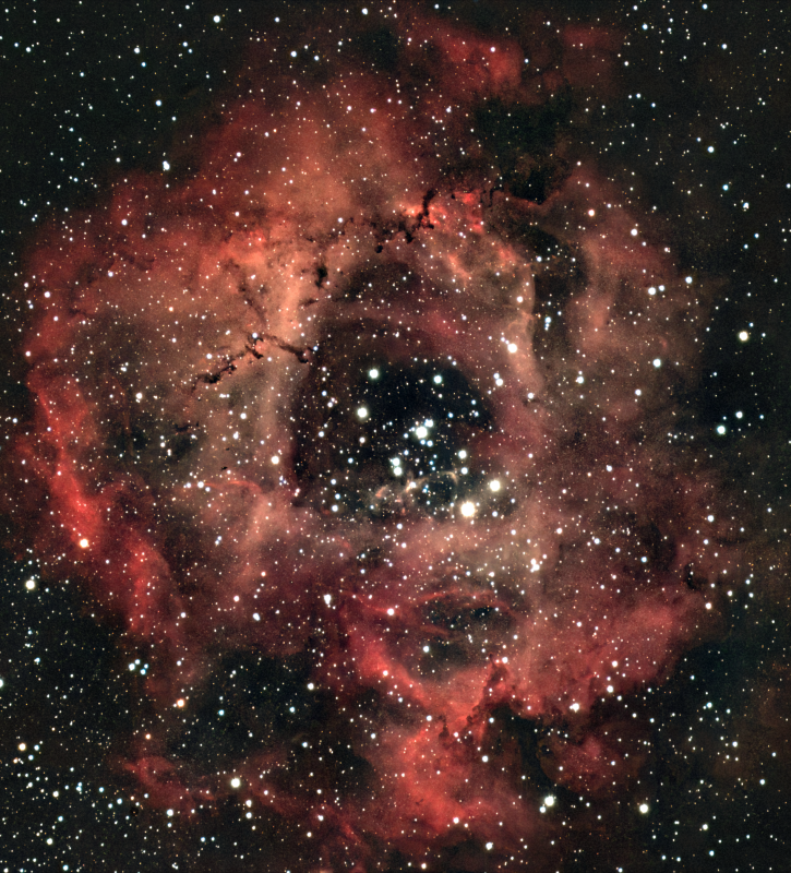 NGC 2244 Satellite Cluster and Rosette Nebulauh image