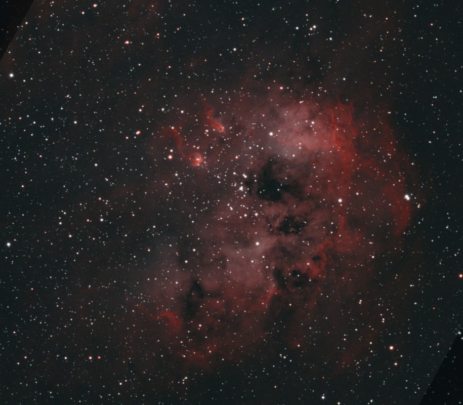 Elephant trunk and tadpole nebulae