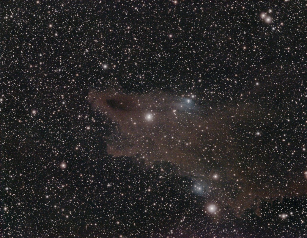Shark nebula