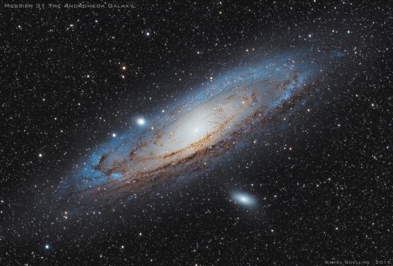 M31